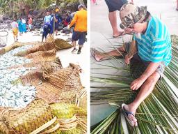 Atule harvest in Manu'a
