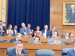 Congresswoman Uifa’atali Amat in foreign affairs committee