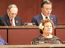Congresswoman Amata in Committee with Chairman Takano and Ranking Member Dr. Roe.