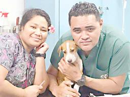 ASG Veterinary Clinic volunteer AND DOA employee with a dog that needs treatment.