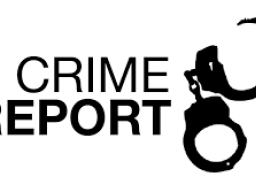Court Report logo