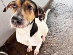 CAP needs a home.