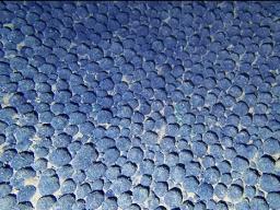 deep sea nodule field