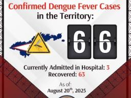dengue fever cases