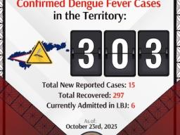 DENGUE FEVER COUNT