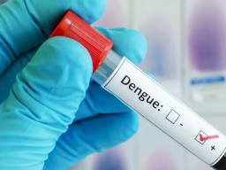dengue fever test tube