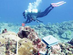 Diver deploying monitoring equipment on reef
