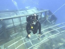 Diver on sunken ship