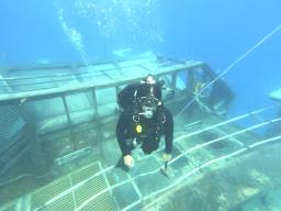 Diver on sunken ship