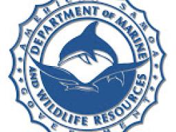 DMWR logo