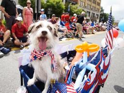 celebrating 4th of July with parade
