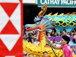 One of many incredible dragons 