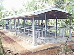 A dry-litter piggery