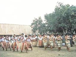 A photo of the lakalaka dance