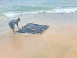 Fish agregating device