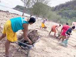 Faleasao residents cleaning up beach