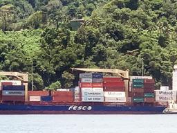 The container vessel, Fesco Askold