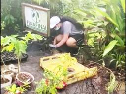 Daniella Fagota. working at Finafianu Plant Nursery
