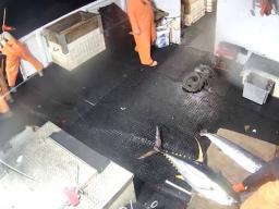 camera shot from an electronic monitoring system