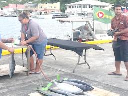 22nd Steinlager I'a Lapo'a fishing tournament