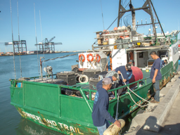 stern-facing electronic monitoring cameras