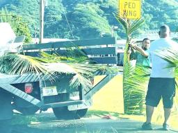 Decorating for Flag Day