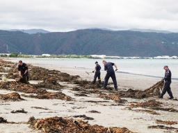 Police searching on beach 