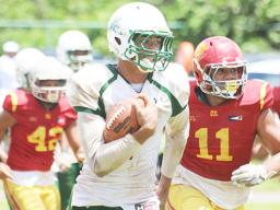 Fa’alili Fa’amoe of the Lions