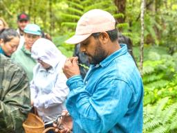 indigenous educators 