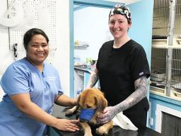 Dr. Kathleen Riley and Saiata Vaeoso treating a dog.