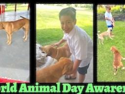 Celebrating World Animal Day Awareness