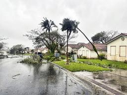 downed trees in guam after typhoon Mawar