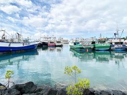 Fishing boats in the channel adjacent to the Pier 38 Fish Market, Honolulu Harbor