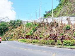 Maugaoalii hillside