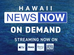 Hawaii News Now Livestream  logo