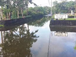 Large pool of stagnant water near Hope House and in front of the cemetery in Ottoville