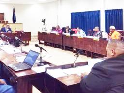 The House of Representatives in session