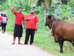 HR staffers in Tau with bull