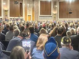 Hundreds of veterans