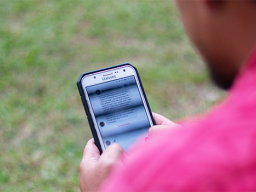 Person looking at a smart phone
