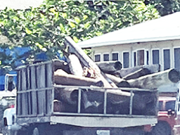 Truck hauling off debris from Alega property