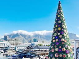 Cape Town Christmas decorations
