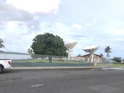 The only tree in that part of the park