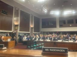 Veterans groups at Veterans hearings