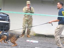 K-9