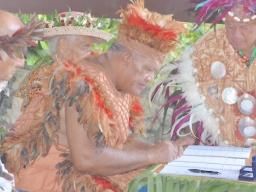 Kaumaiti Nui, Travel Tou Ariki 