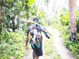 Man walking through the bush with a string of fish over his sholder
