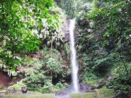 Leafu stream and waterfall 