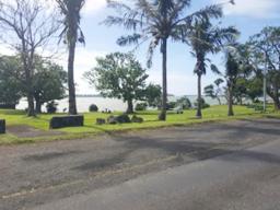 Lions Park in 2019
