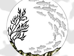 Magnunson Sevens Act logo